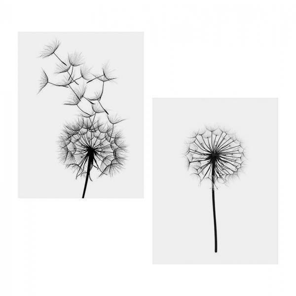 B2bm 0544168