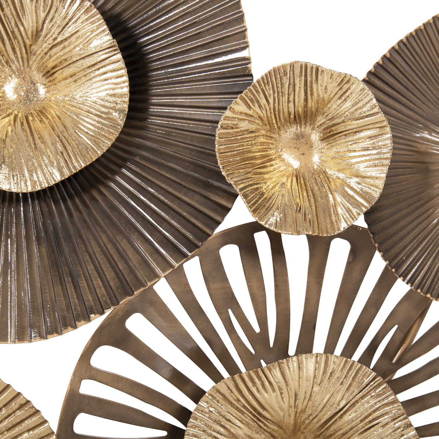 B2bm 0412881 B2bm 0412881