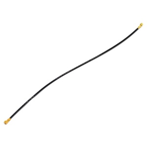 17876