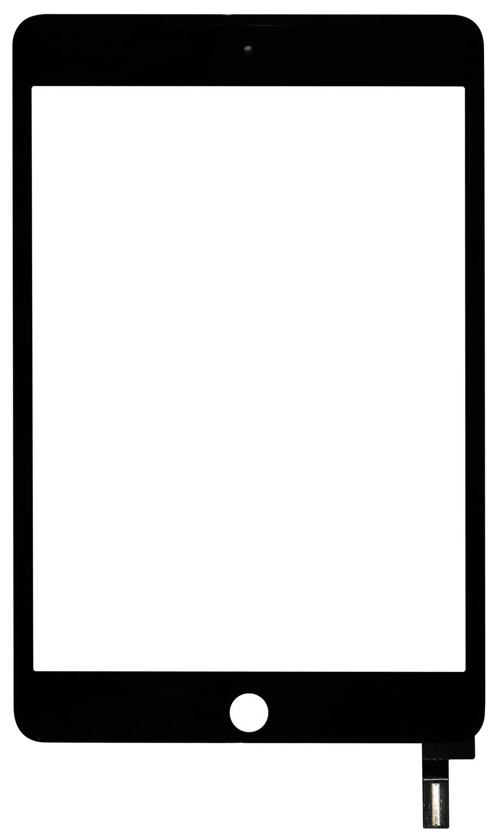 17539 17539